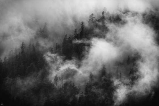 Misty mountain, Notis Stamos, Bavaria