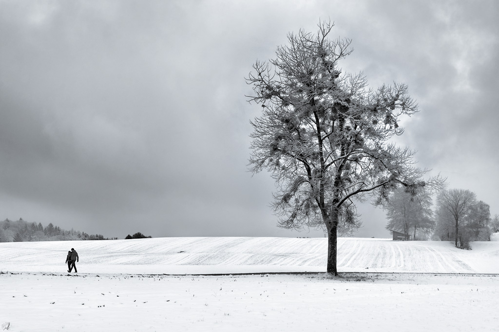 Steinsee, Winter, Snow, Notis Stamos